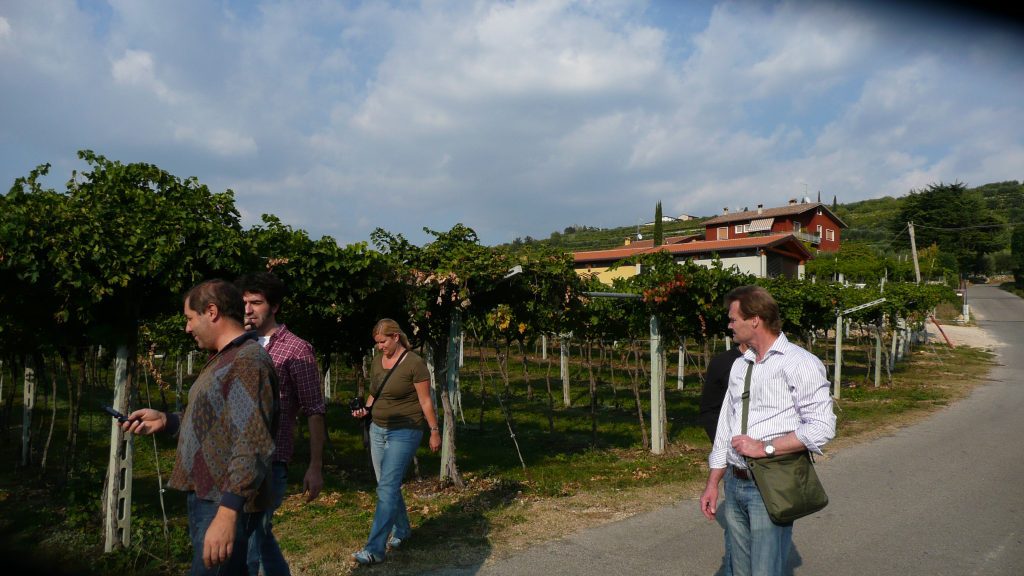 A beautiful day at the vineyards of Azienda Agricola Manara, Veneto