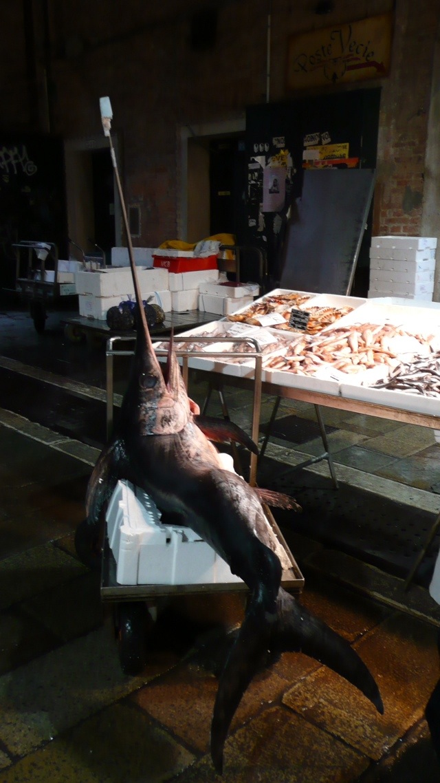 Marlin, Mercato del Pesce, Venice