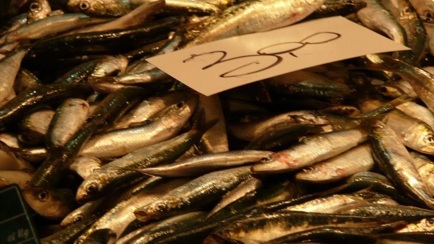 Fresh fish, Mercato del Pesce, Venice