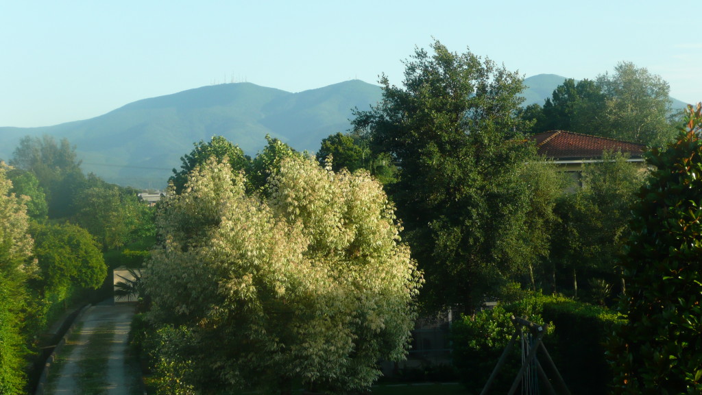 View from Eva's window, Lucca