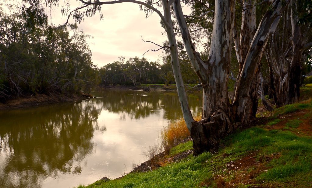 Murray River