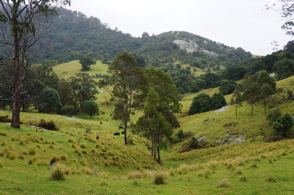 Rolling hills Tilba NSW