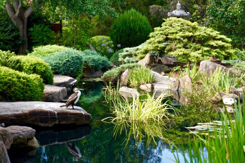 Himeji Japanese Garden, Adelaide