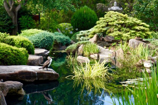 Himeji Japanese Garden, Adelaide
