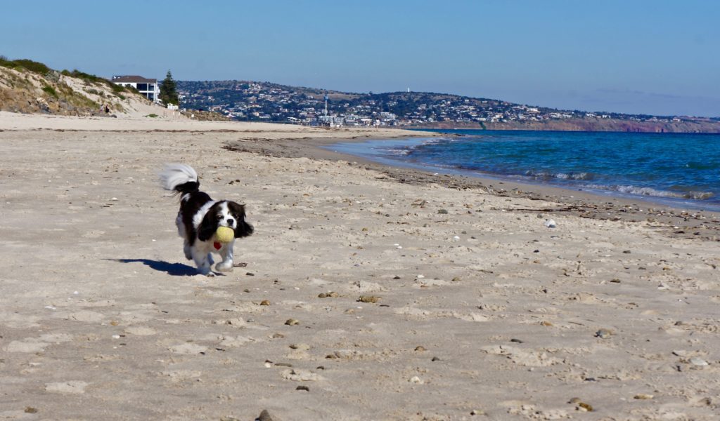 West Beach, Adelaide