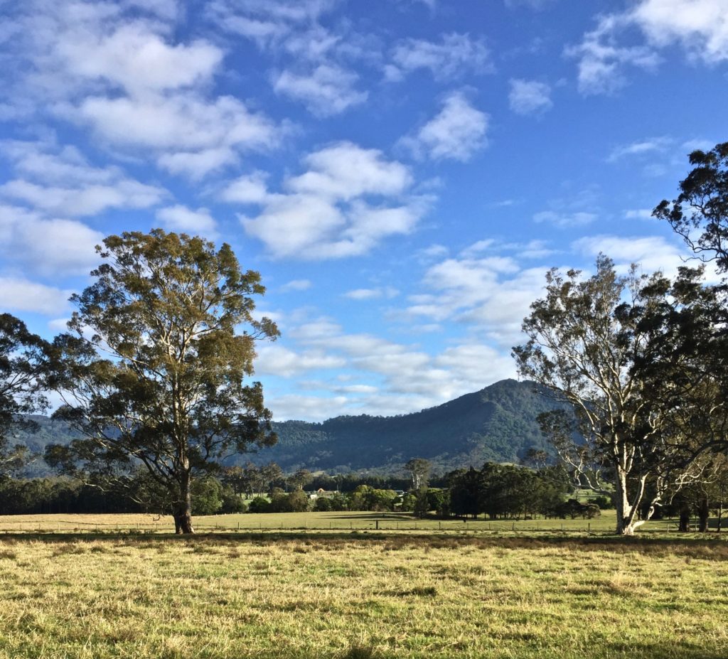 Cambewarra Mountain