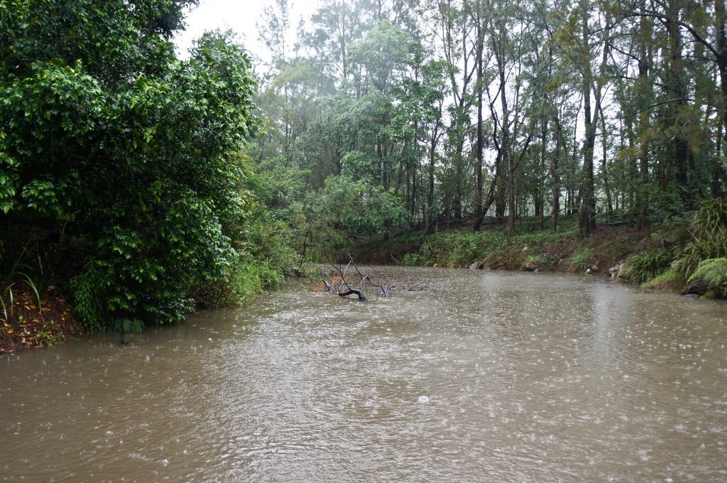 Tapitallee Creek in the rain