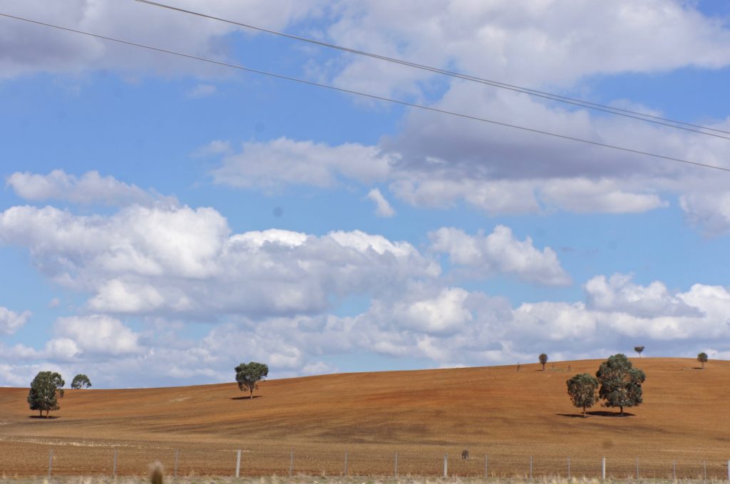 Passing through sunburnt countryside in New South Wales